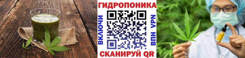 купить закладку  блэк спрут рабочий сайт  Cannafood конопля  Красково 