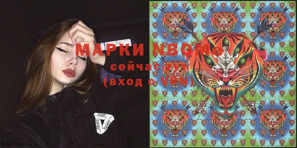 спайс Няндома