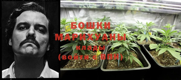 спайс Няндома